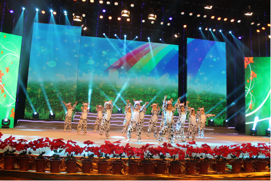 CCTV魅力中國行大型電視展演活動走進廣西，文化藝術交流全面啟動