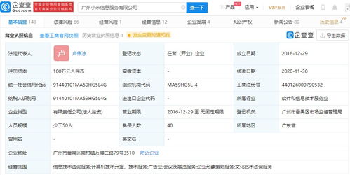 小米高層調(diào)整 王川退出廣州信息服務(wù)公司，盧偉冰接任，強(qiáng)化信息技術(shù)咨詢業(yè)務(wù)布局
