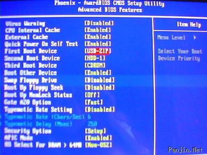 雙臺子區(qū)專業(yè)電腦維護(hù)與信息技術(shù)咨詢服務(wù)指南